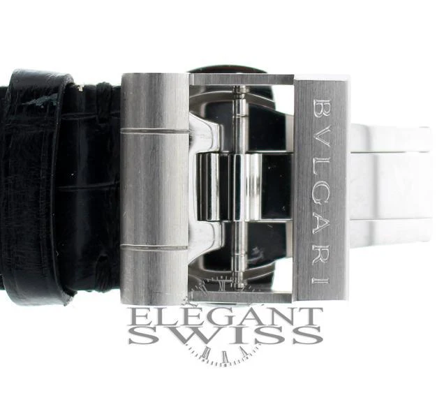 Bvlgari Diagono Pro Terra Chronograph 42MM Stainless Steel Automatic Mens Watch DP42SCH - Image 7